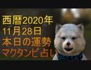 11月28日占い　マクタンピ完全オリジナル占い　【選択型】最終的に本日の運勢の答えはあなた次第　＃占い　＃毎日占い　＃オリジナル占い