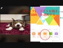 TikTok動画とBGMをダウンロードする方法
