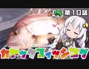 【VOICEROIDフィッシング】あかりちゃんと行くカヤックフィッシング第10話