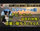 ナビーちゃん初めての病院　ボギー大佐の言いたい放題　2020年11月01日　21時頃　放送分