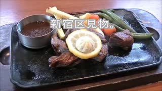 新宿区見物