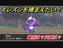 ポケモン剣盾　エレズンを捕まえる方法！オススメの場所は？天気は？ポケモン図鑑コンプへの道！　【ポケモンソード・シールド】