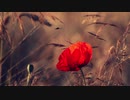 Remembrance [ 記憶の中の不思議 ] - Ernesto Cortazar