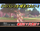 ポケモン剣盾　ドロバンコを捕まえる方法！オススメの場所は？天気は？ポケモン図鑑コンプへの道！　【ポケモンソード・シールド】