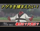 ポケモン剣盾　ナゲキを捕まえる方法！オススメの場所は？天気は？ポケモン図鑑コンプへの道！　【ポケモンソード・シールド】