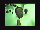 effect test.mp4