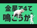 第39位：金星で４って鳴く犬