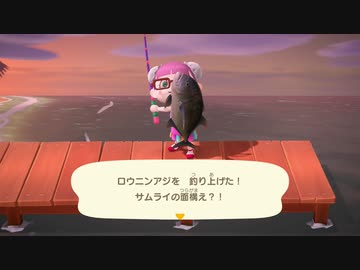 あつまれどうぶつの森 実況プレイpart248