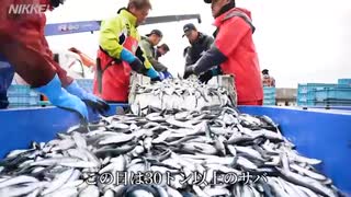 70年ぶり　漁業法が改正