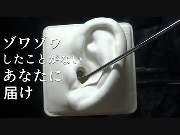 【ASMR】2種類の高速倍速耳かき【音フェチ】