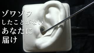 【ASMR】2種類の高速倍速耳かき【音フェチ】