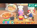【実況】癒しの島＊あつまれどうぶつの森を初プレイ【part.35】