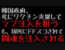 韓国、ワクチンで北にラブ注入しようとするも闘魂注入される【韓国ニュース】【ゆっくり解説】