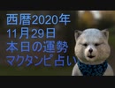 11月29日占い　マクタンピ完全オリジナル占い　【選択型】最終的に本日の運勢の答えはあなた次第　＃占い　＃毎日占い　＃オリジナル占い