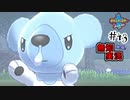 【ポケモン剣盾】世代が飛び飛び知識の俺がポケモンソード初見プレイ その43【実況】