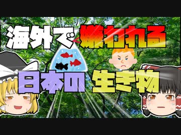 【ゆっくり解説】海外では嫌われている日本の生き物