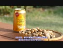 自家製ピーナッツでハイボール飲んでみた【キッチン・ガーデン #26】