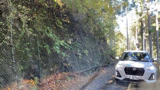 【車載動画】静岡県道60号をドライブ part2【険道】