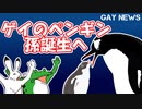 【ゲイニュース】ゲイのペンギン　孫誕生へ