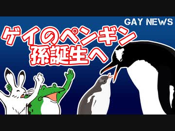 【ゲイニュース】ゲイのペンギン　孫誕生へ