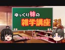 ゆっくり妹の雑学講座2「保守主義の父 エドマンド・バーク」