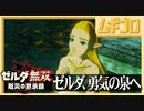 ゼルダ無双 厄災の黙示録｜勇気の泉護衛戦【実況】