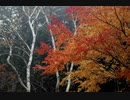 和賀氏ビンテージ作品入り