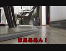 HOゲージ運転中にゴキ（ピー）ブリ出現し悲鳴