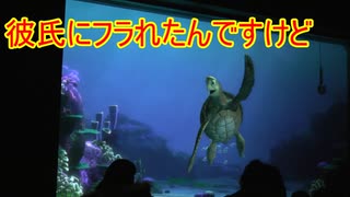 人気の タートルトーク 動画 269本 ニコニコ動画