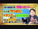 #857 「国籍は問わない」と蓮舫さんにネット民「やっぱり」。トランプ大統領が日本の総理になれるルールがある｜みやわきチャンネル（仮）#997Restart857