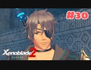 #30【ゼノブレイド2】楽園目指してのんびりプレイ【初見プレイ】