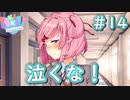 ガチゲンカすんなよ…【Doki Doki Literature Club】♯14