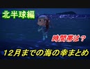 あつまれどうぶつの森　１２月までの海の幸まとめ！（北半球編）早めに捕っておきましょう！　【あつ森】