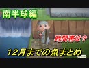 あつまれどうぶつの森　１２月までの魚まとめ！（南半球編）早めに釣っておきましょう！　【あつ森】