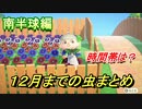 あつまれどうぶつの森　１２月までの虫まとめ！（南半球編）早めに捕っておきましょう！　【あつ森】