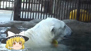 ゆっくりまりさのアニマル放浪記　#4　愛媛県立とべ動物園