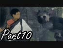 ぼやきながら冒険する『人喰いの大鷲トリコ』実況プレイ Part10