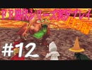 ファイナルファンタジー歴代シリーズを実況プレイ‐FF3編‐【12】