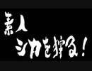 前代未聞！素人が鹿を狩る！「theHunter Call of the Wild」