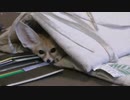 財布を盗むイタズラギツネ