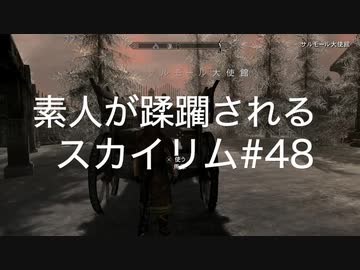 人気の Skyrim 動画 22 499本 50 ニコニコ動画