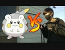【ポケモン剣盾】トゲデマルにボコボコにされる男