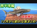 あつまれどうぶつの森　１２月から釣れる魚まとめ！釣れる場所と時間帯も紹介！南半球編！　【あつ森】