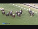 インラン親爺の競馬実況2020