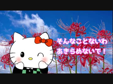 KITTY5 とどけ！ MY LOVE CD 林原めぐみ ハローキティ KITTY5 とどけ！ MY LOVE CD 林原めぐみ ハローキティ サンリオ