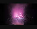 【2020】StarlitNightFireworks in 福井 「悪疫退散！ 輝かしい未来へ」