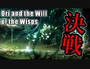 【クモの親分】害虫駆除だぁぁ！！【Ori and the Will of the Wisps】#12