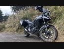 千葉県の林道に行って来た。