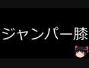 【ゆっくり朗読】ゆっくりさんと不思議な病気 その268