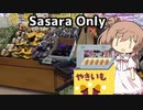 さとうささらで呼び込み君「No.4」(ぽぽーぽぽぽぽ)